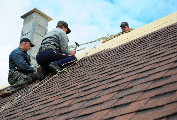 Best Flat Roof Repair Services  in Swanton, OH