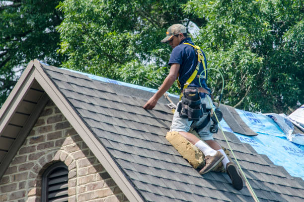 Best Roof Waterproofing Services  in Swanton, OH